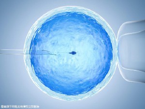 关于有偿志愿者供卵代孕怎么找